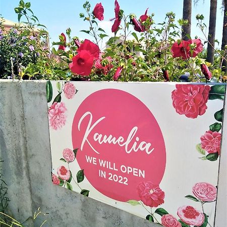 Kamelia 2022 Corfu Sant George Aparthotel Άγιος Γεώργιος Εξωτερικό φωτογραφία