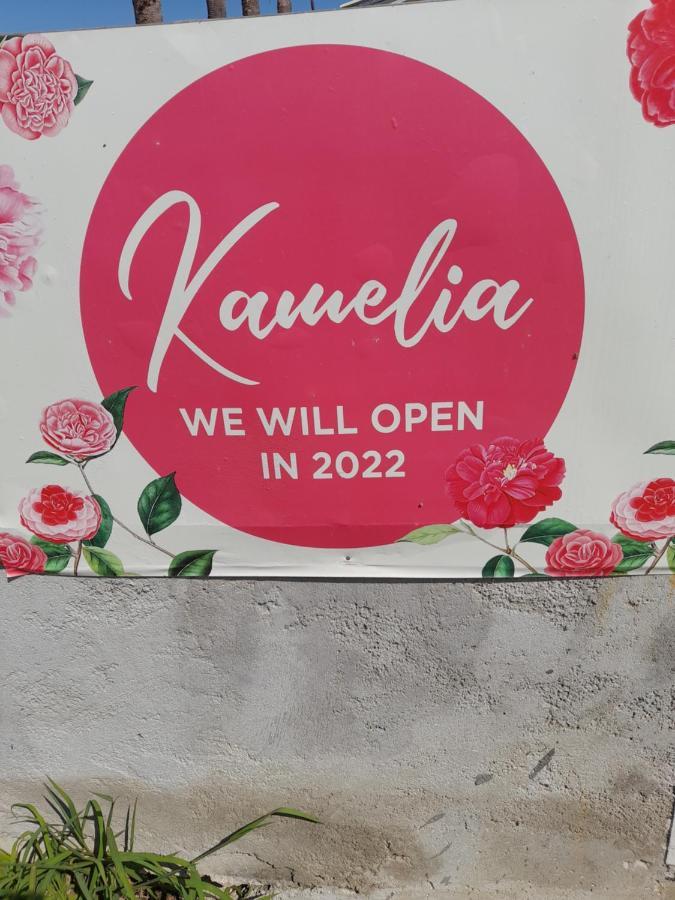 Kamelia 2022 Corfu Sant George Aparthotel Άγιος Γεώργιος Εξωτερικό φωτογραφία